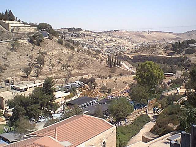 city2.jpg (55472 bytes)