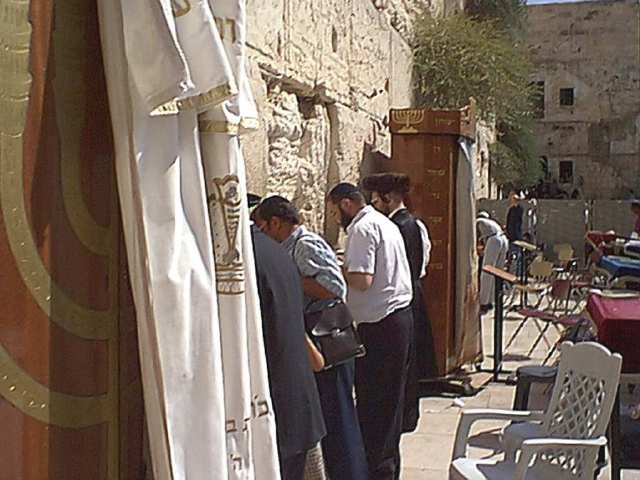 wall1s.jpg (44848 bytes)