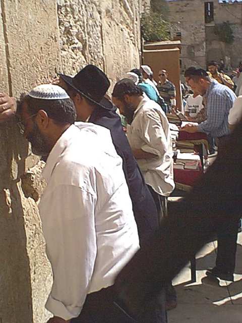 wall2s.jpg (43768 bytes)